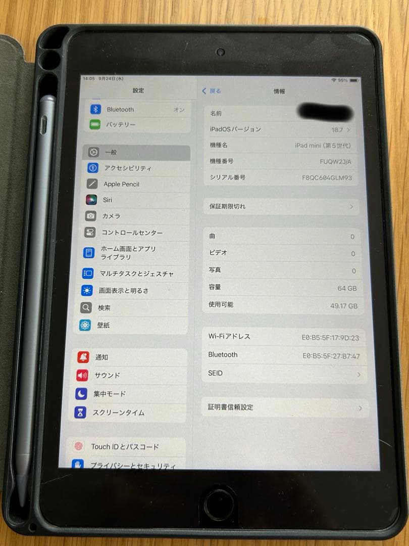 masa 様　iPad mini5 第5世代　64GB バッテリー最大容量91%