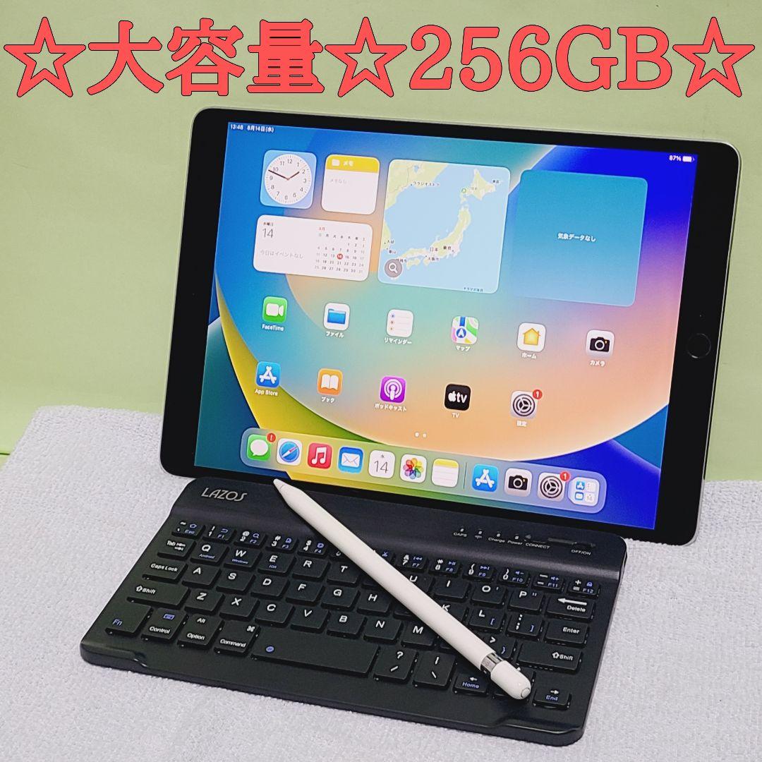 専用☆お得なフルセット☆大容量☆256GB☆ iPad Pro 10.5☆