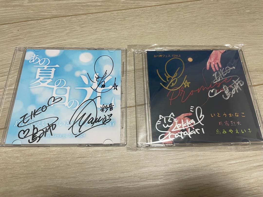 白川郷フェス FINAL2 限定CD2枚 あの夏の日の光 promise