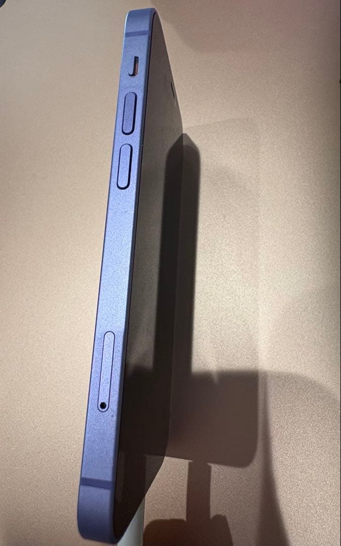 iPhone12 mini 64GB 本体 SIMフリー iface&充電器付き