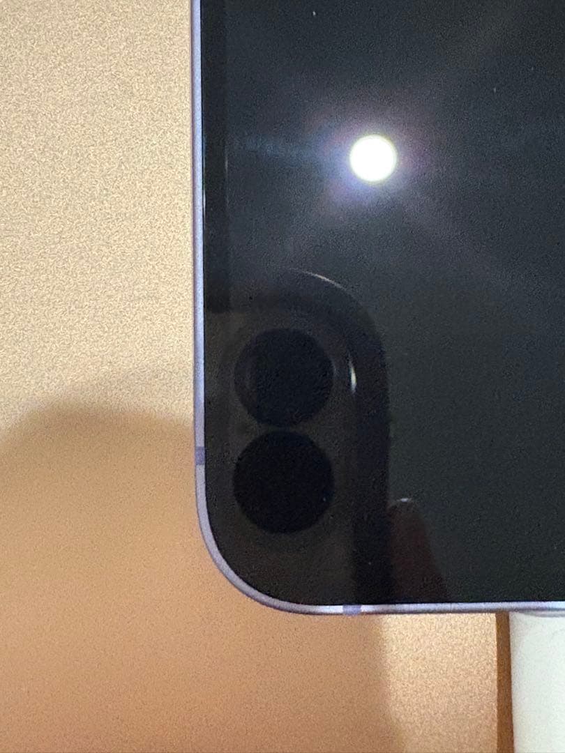 iPhone12 mini 64GB 本体 SIMフリー iface&充電器付き