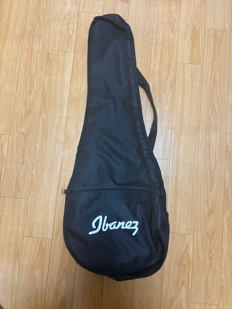 Ibanez EWP14WB ミニギター ソフトケース付き