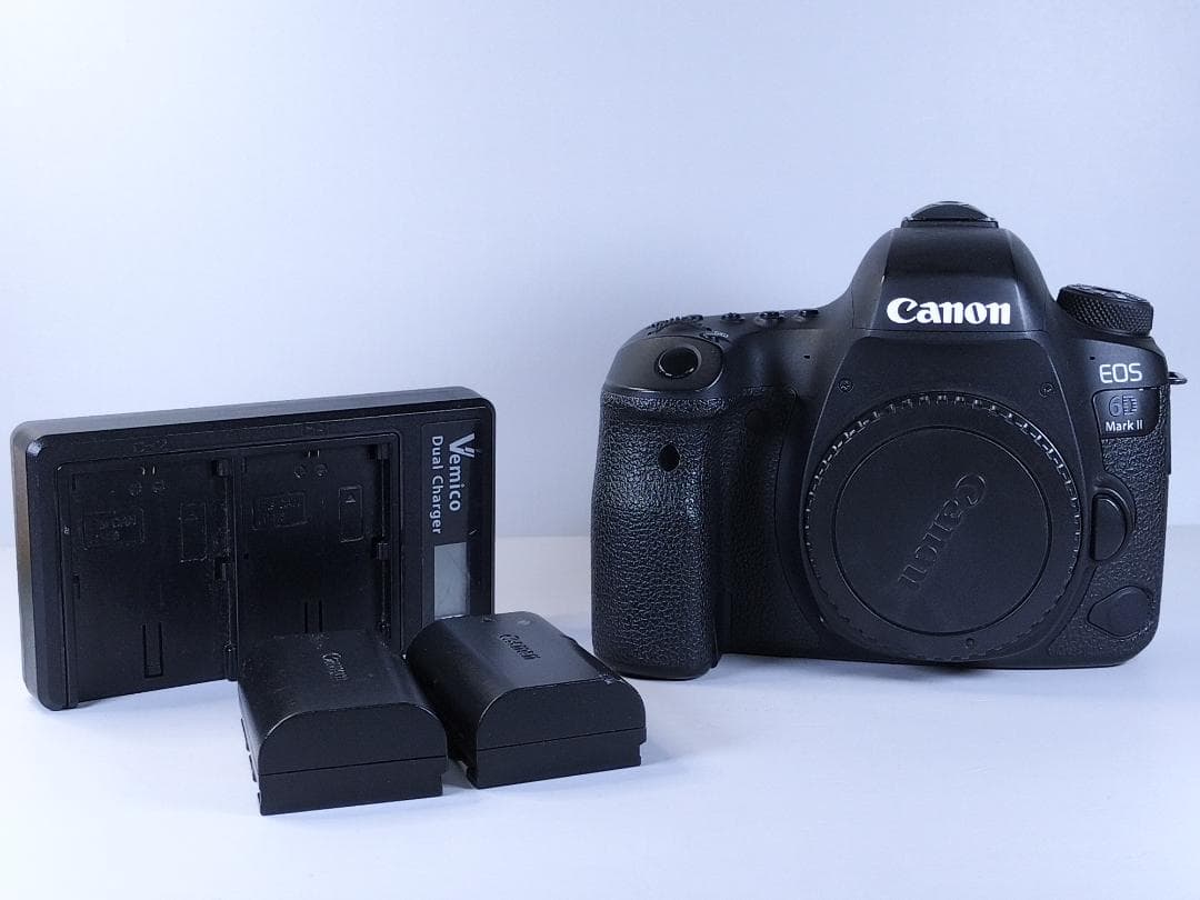 動作品 Canon EOS 6D mark II 本体 純正バッテリー2 充電器