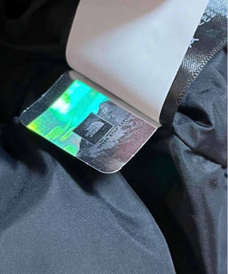 ゆたっちNORTH FACE 1996 NUPTSEレトロヌプシ ベストM