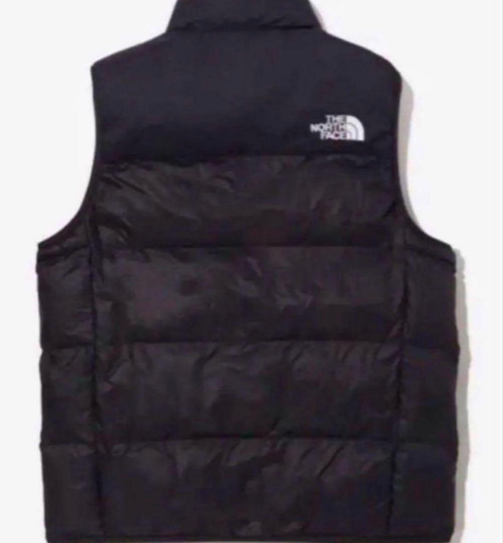 ゆたっちNORTH FACE 1996 NUPTSEレトロヌプシ ベストM