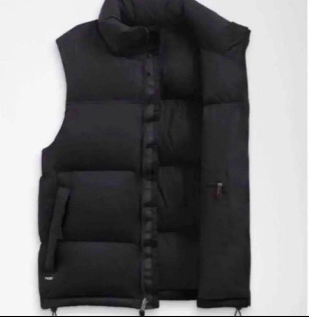 ゆたっちNORTH FACE 1996 NUPTSEレトロヌプシ ベストM