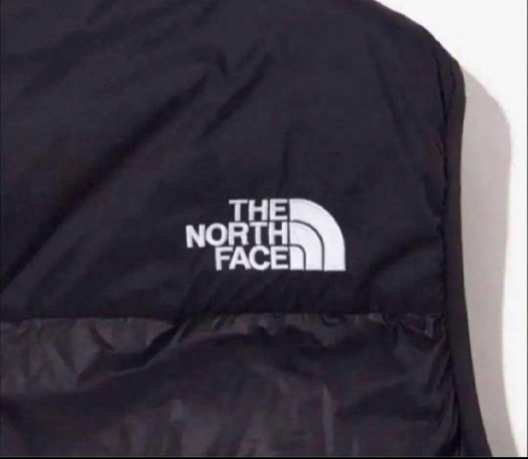 ゆたっちNORTH FACE 1996 NUPTSEレトロヌプシ ベストM