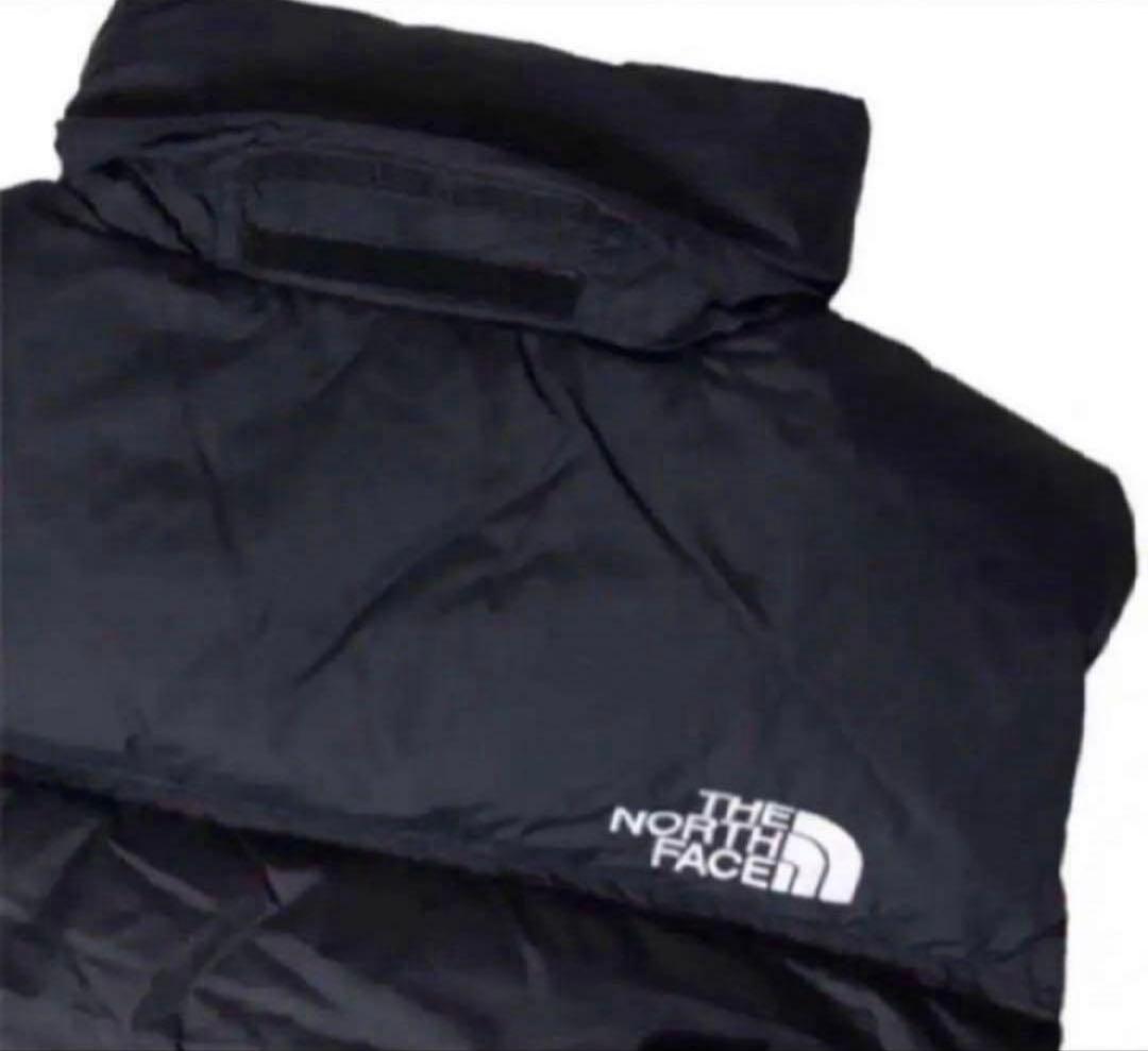 ゆたっちNORTH FACE 1996 NUPTSEレトロヌプシ ベストM