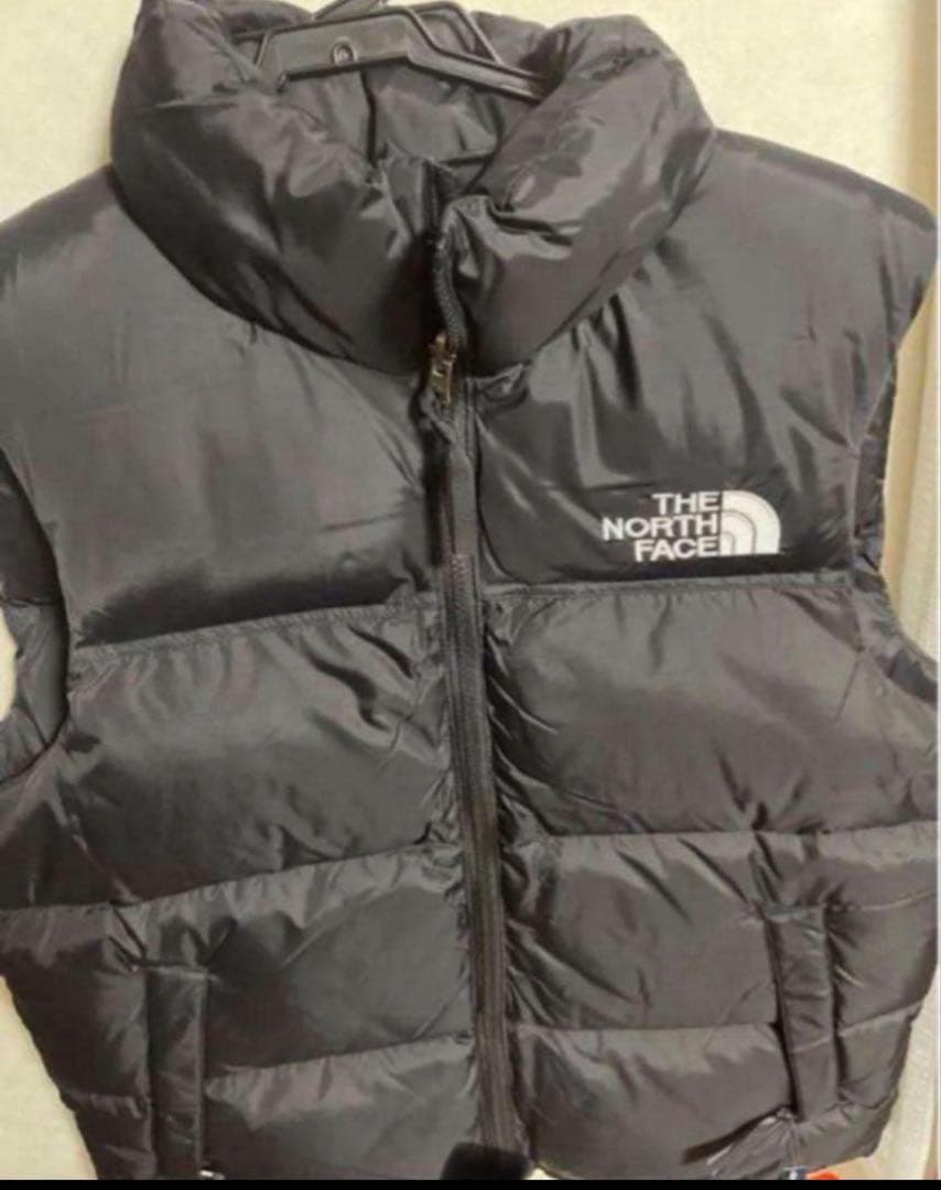 ゆたっちNORTH FACE 1996 NUPTSEレトロヌプシ ベストM