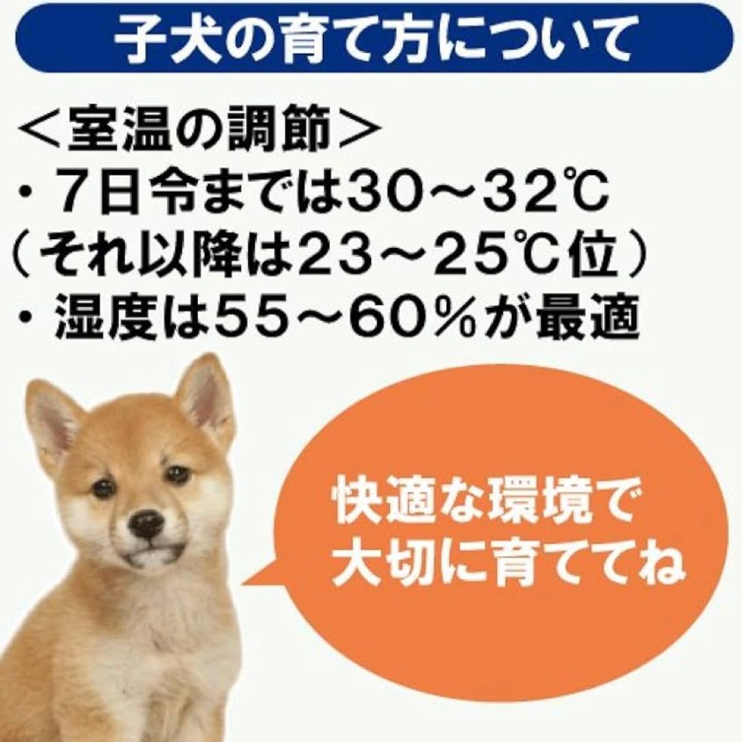 日本ペットフード ビタワン マミール 子犬のミルク 250g 【×5個 】
