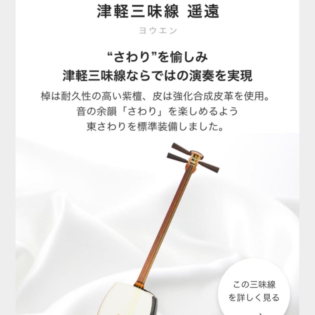 津軽三味線本体 バチ　ケース付き