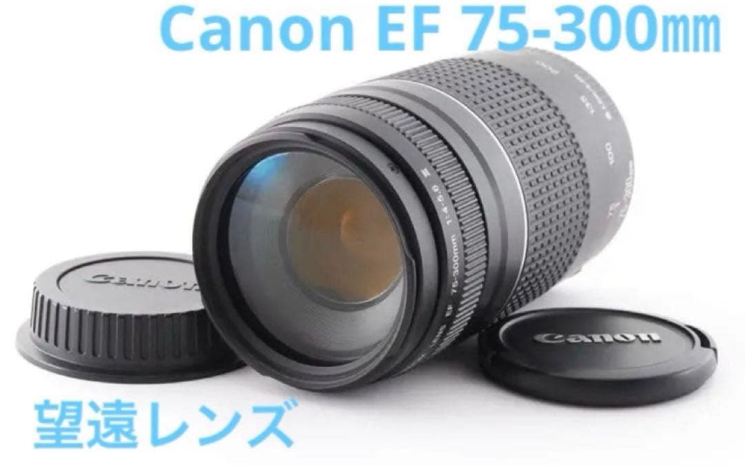 デジタル一眼レフカメラ　望遠レンズ　CANON EF 75-300mm
