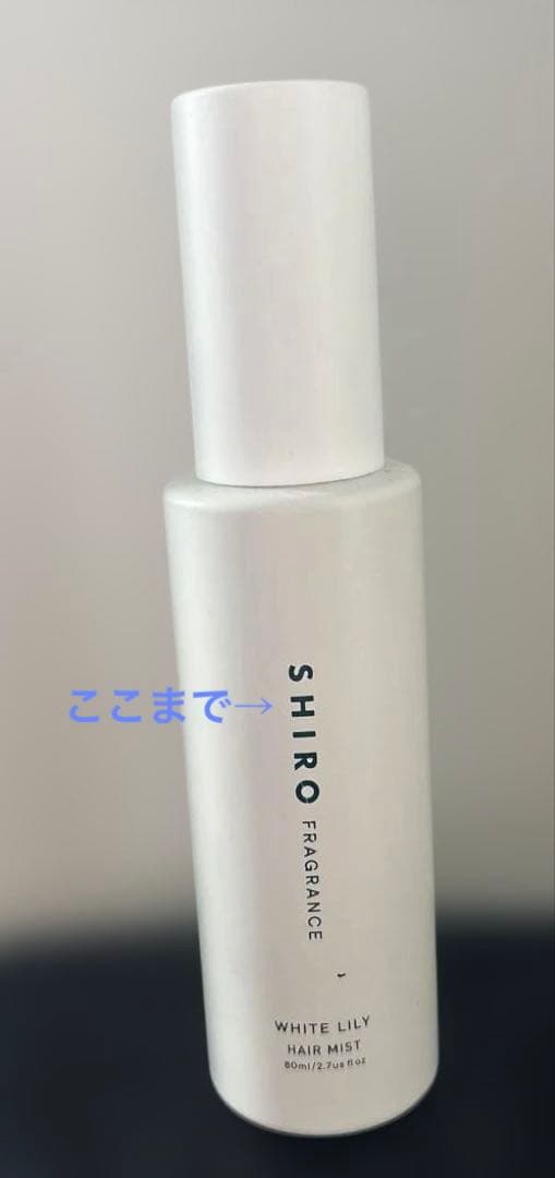 サロニア EMSリフトアップ電機ブラシ & ANLAN フェイススチ