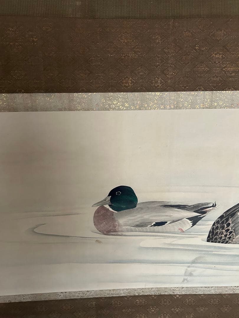 江戸時代　森徹山　真筆　水中鴨　掛軸　共箱付　茶掛　索丸山応挙