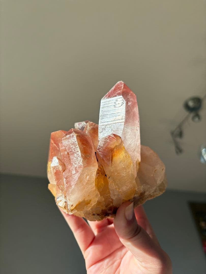 【SALE‼️】希少！　スカーレットテンプルレムリアン