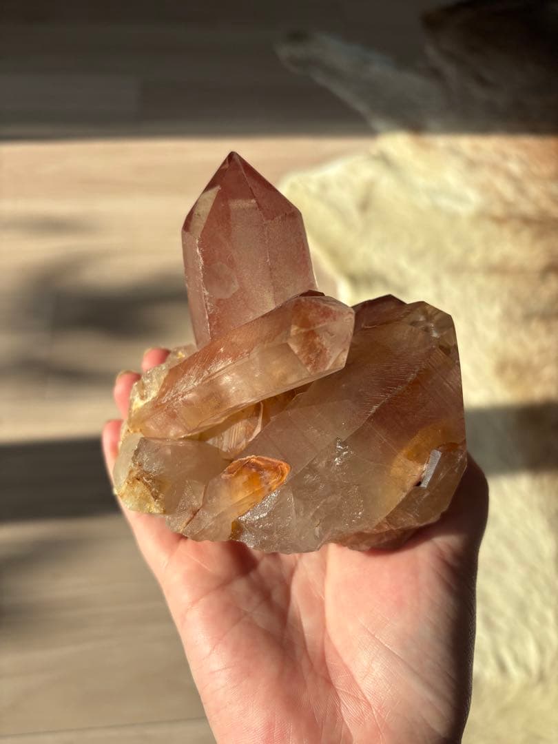 【SALE‼️】希少！　スカーレットテンプルレムリアン