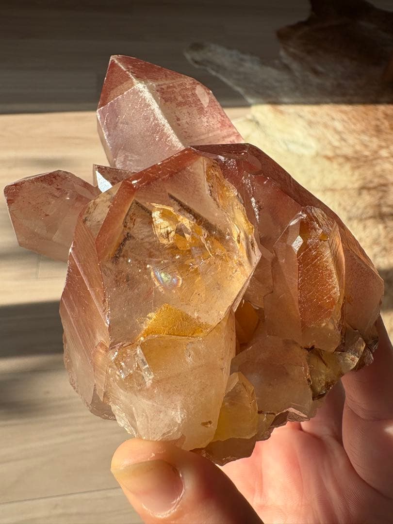 【SALE‼️】希少！　スカーレットテンプルレムリアン