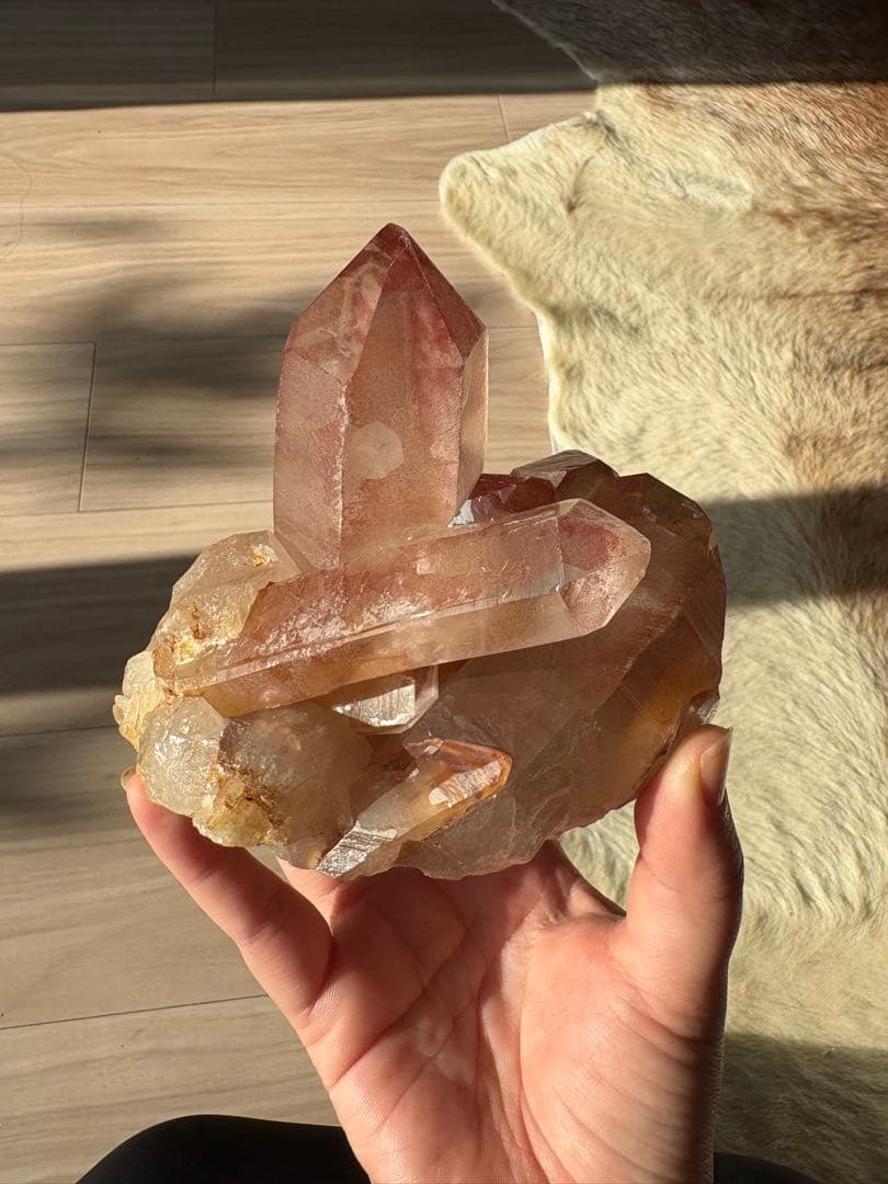 【SALE‼️】希少！　スカーレットテンプルレムリアン