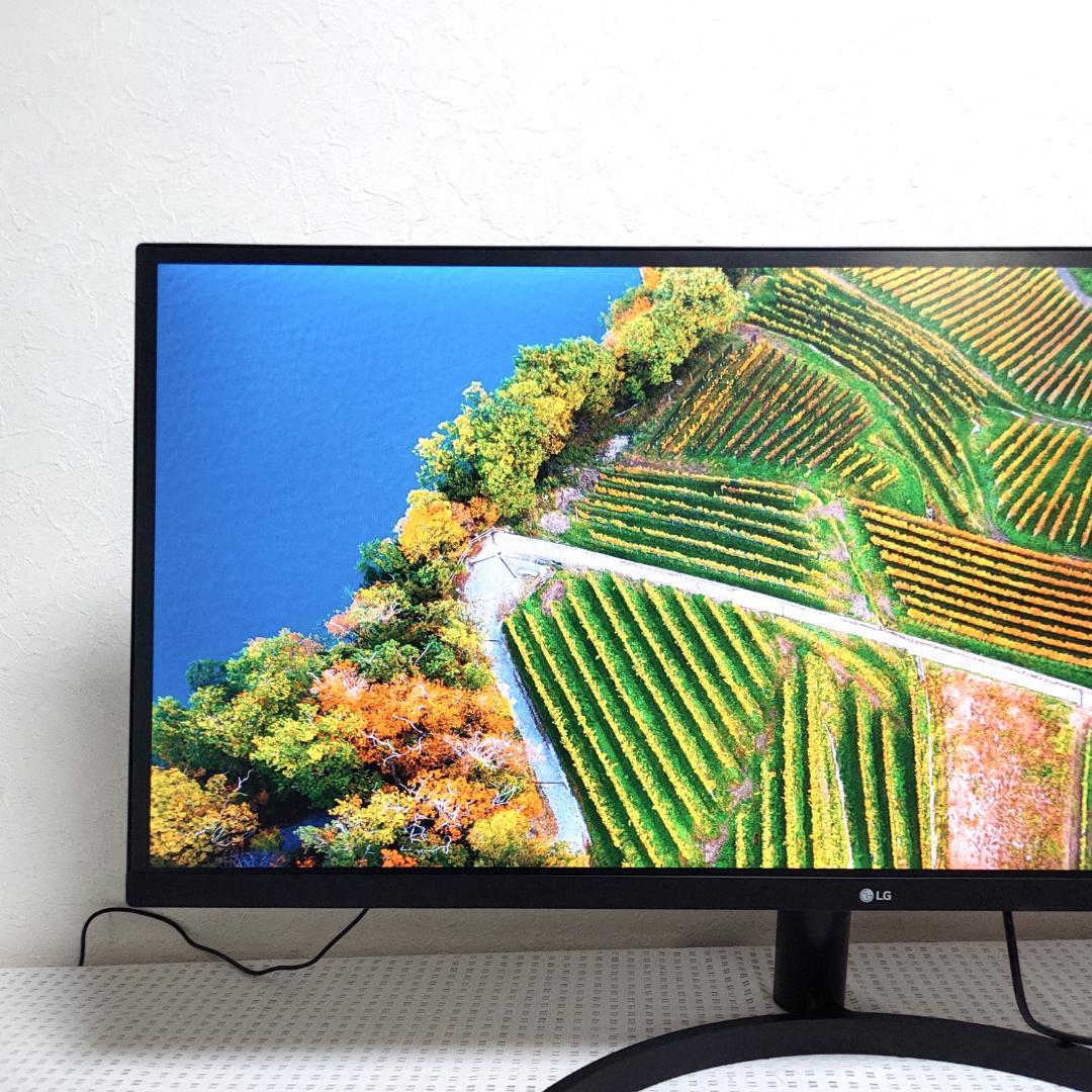 LG ウルトラワイド モニター ディスプレイ 34インチ 34WL500-B