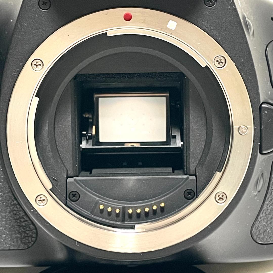 初心者大歓迎❣️ Canon EOS Kiss X5 バリアングル 一眼レフ