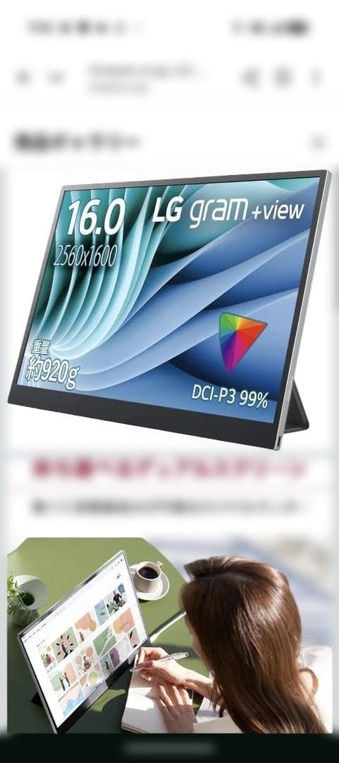 値下げ交渉❌️3日限定LG gram +view 16.0インチ モニター 本体