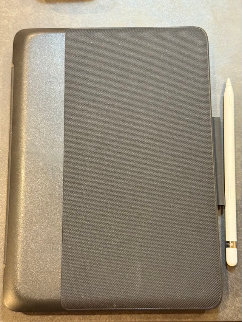 美品・即使用可iPad Pro 256GB WiFi+Cell ペン付 ケース付