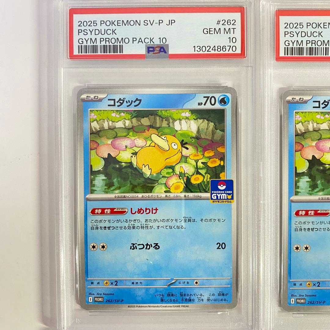 【PSA10】 コダック ジムプロモ しめりけ 262/SV-P 4連番