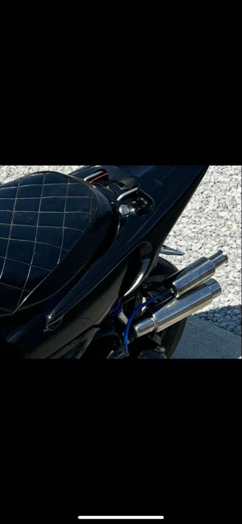 新春セール ライブディオ 羽for M