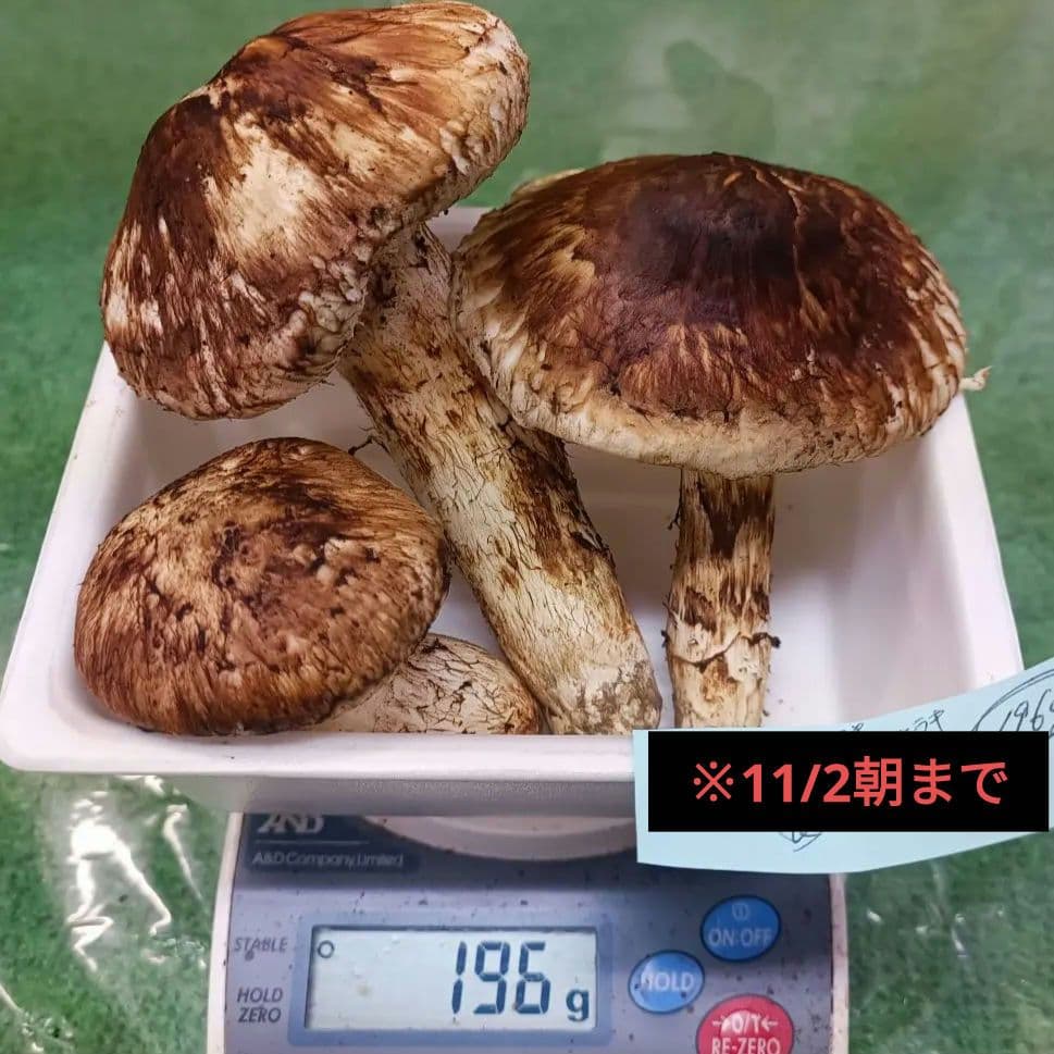 【松茸】良品　196ｇ　岡山県産
