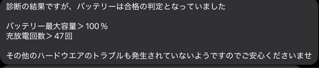 Apple iPad Pro シルバー 本体256GB 最大容量100％