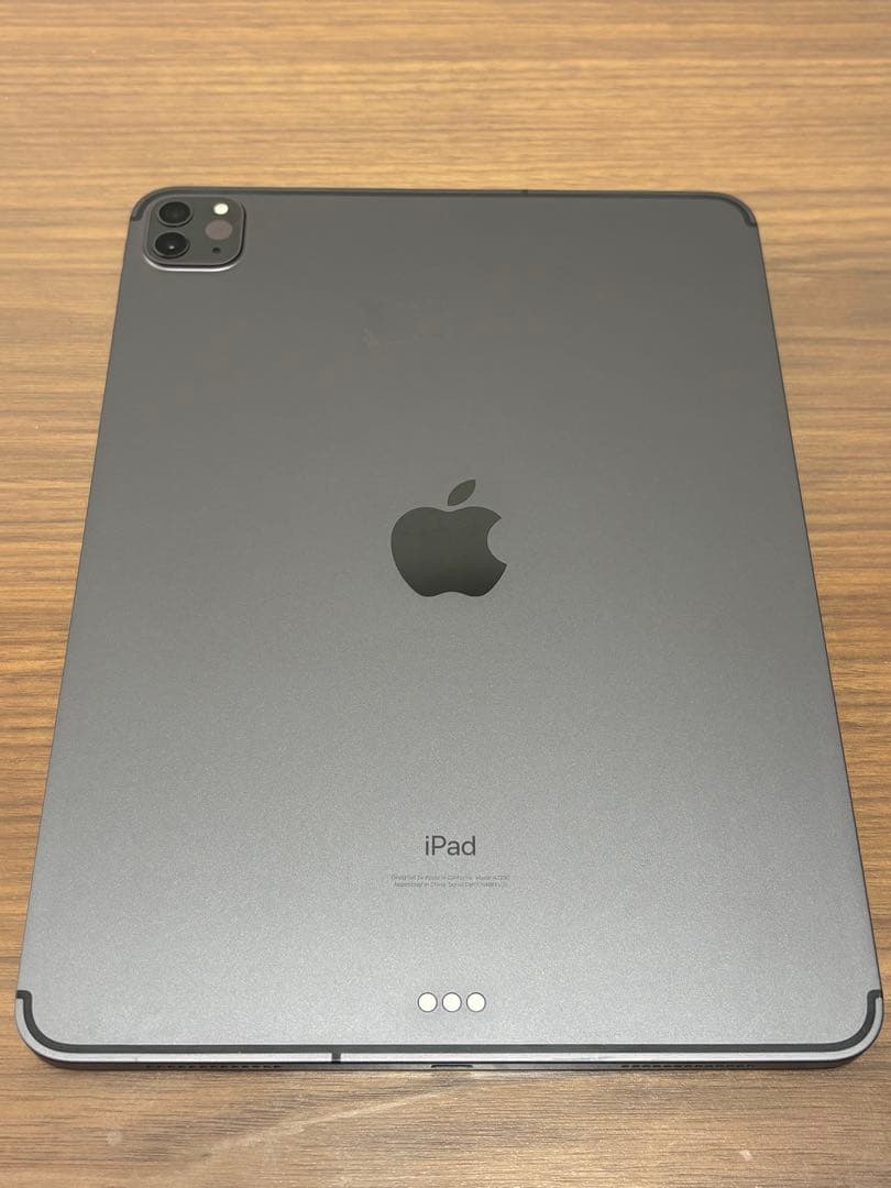 Apple iPad Pro (第2世代) 11インチ スペースグレー