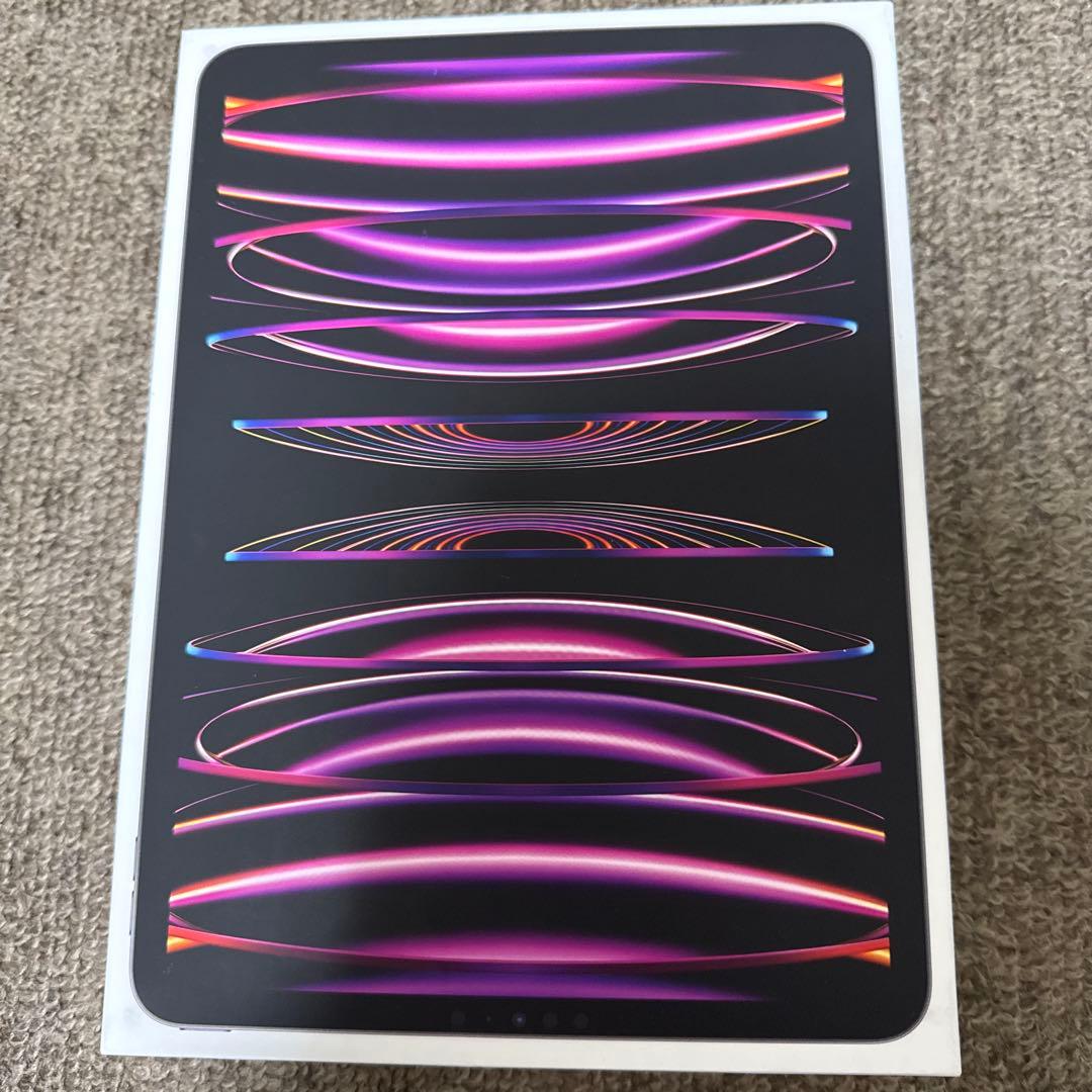 Apple iPad Pro 11インチM2 128GB Wi-Fiモデル