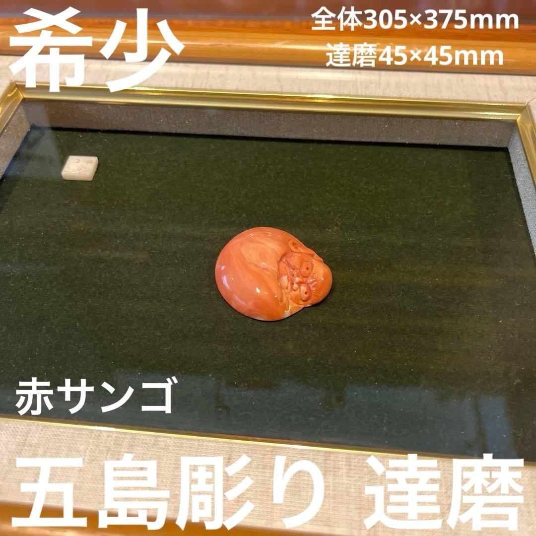 h*o様 希少　赤サンゴ　アンティーク　縁起物　達磨