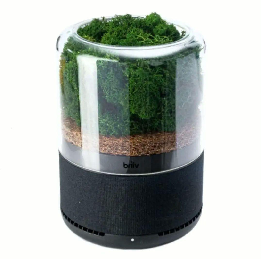 空気清浄機・イオン発生器 [FIVE Create Ltd.] Briiv Single Pack