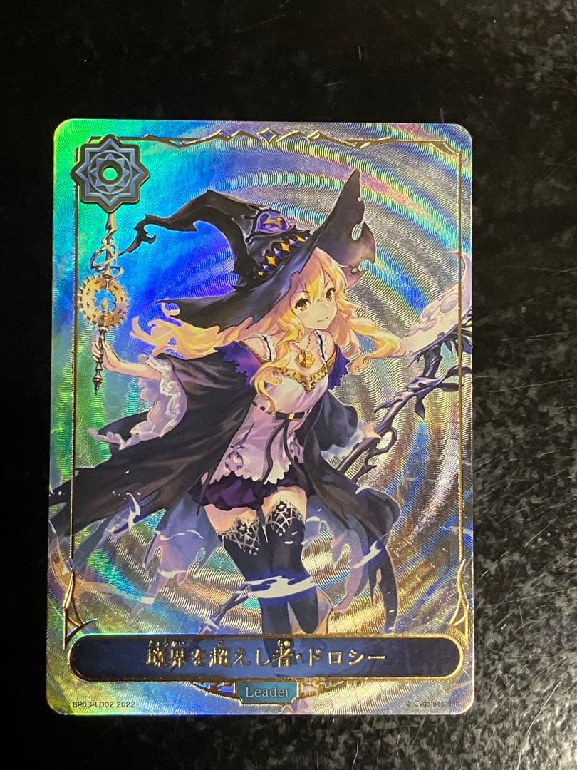 境界を超えし者・ドロシー　リーダー