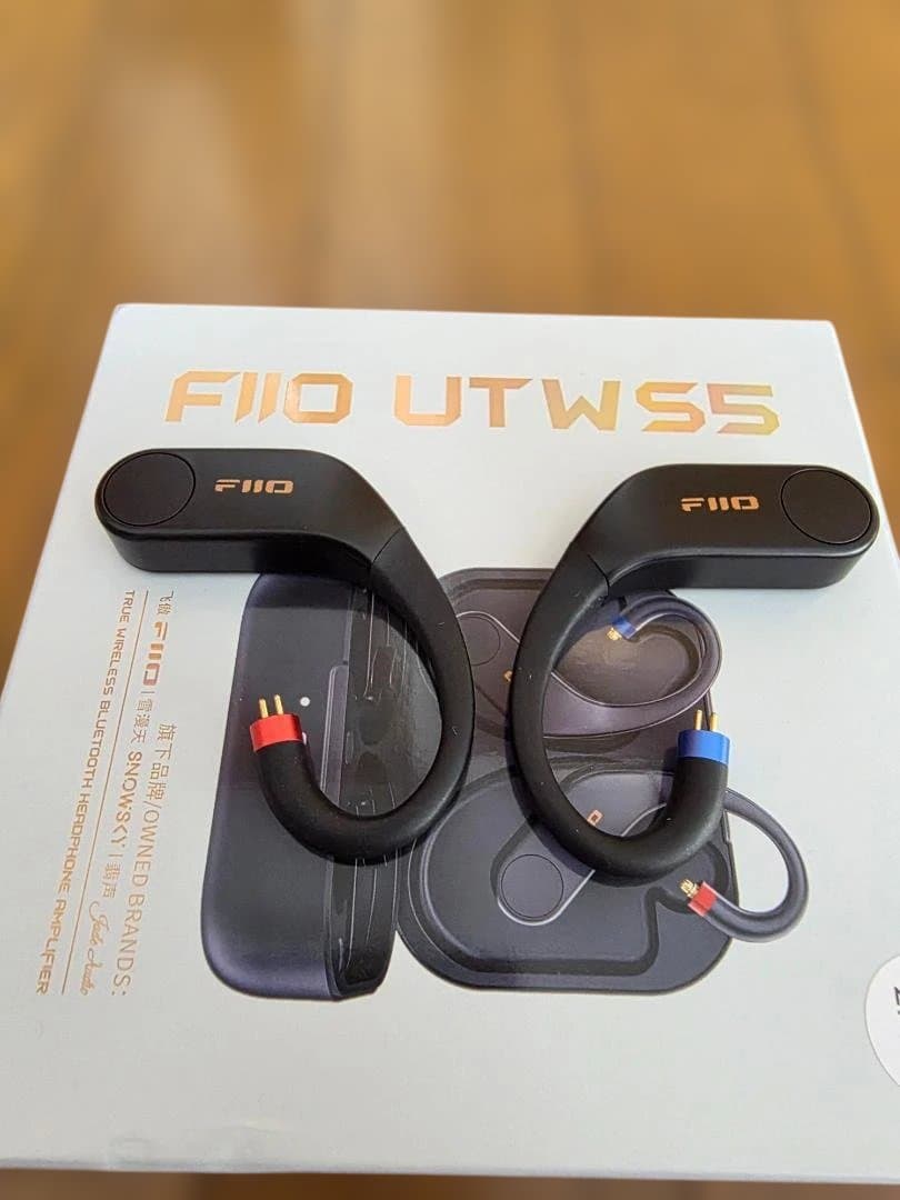 イヤホン FiiO UTWS5 2025 2pin
