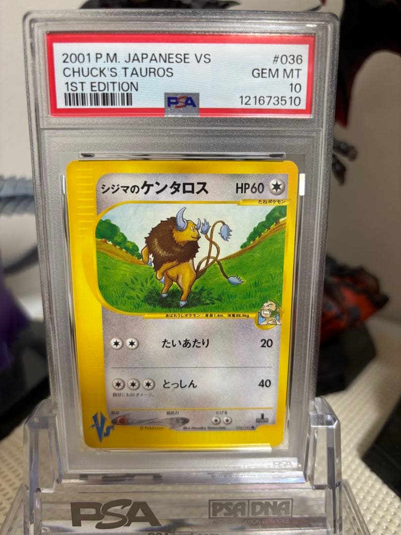 【psa10】シジマのケンタロス ● ポケモンカード★VS 036/141