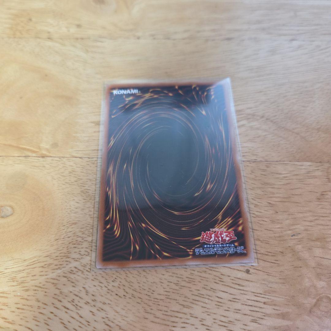 遊戯王　白き龍の落胤