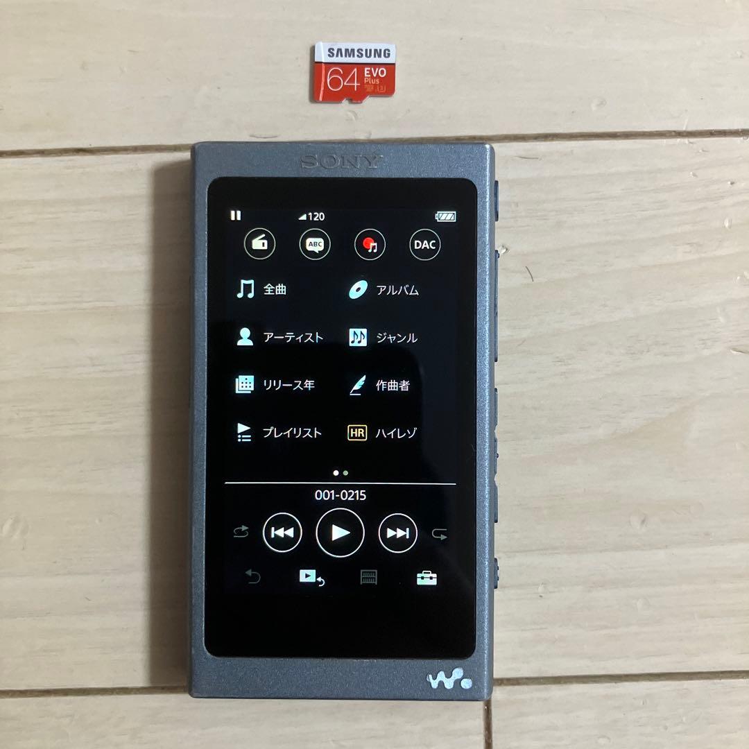 SONY walkman NW-A45 16GB 本体 動作品 ウォークマン