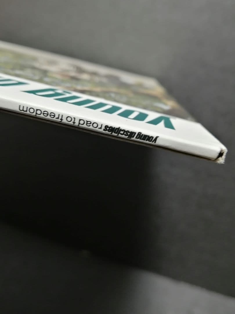 【ACID JAZZ 名盤】YOUNG DISCIPLES UKオリジナル盤