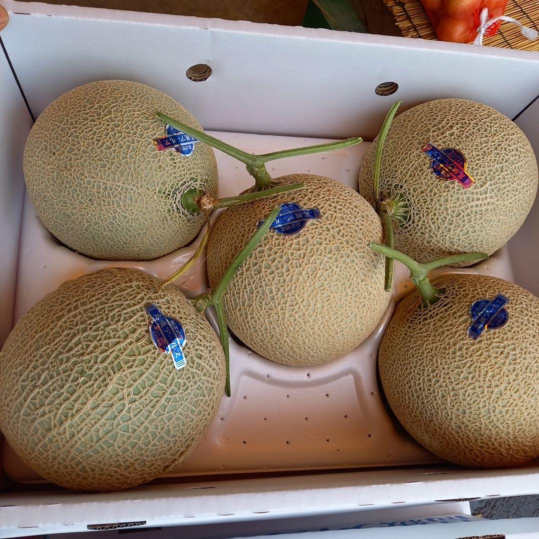 アールスメロン