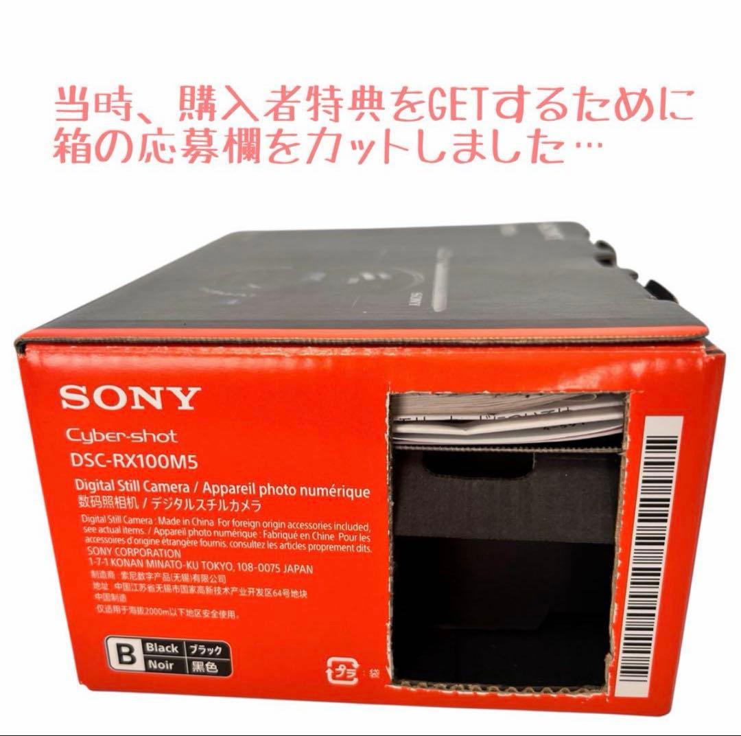SONYサイバーショットDSC-RX100M5 純正充電器バッテリー