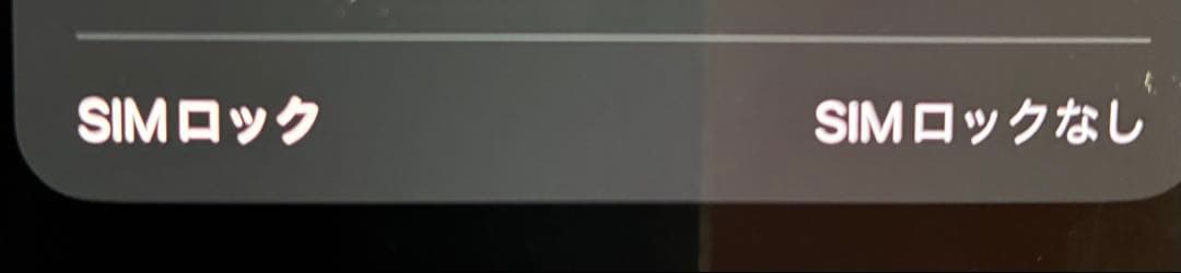 iPhone12 Pro Max128GB SIMフリー箱・ケーブル付 初期化済