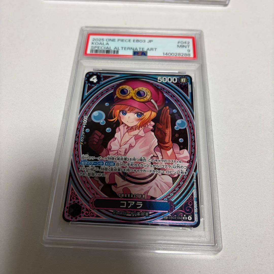 コアラ SR sp psa9 ヒロインズエディション