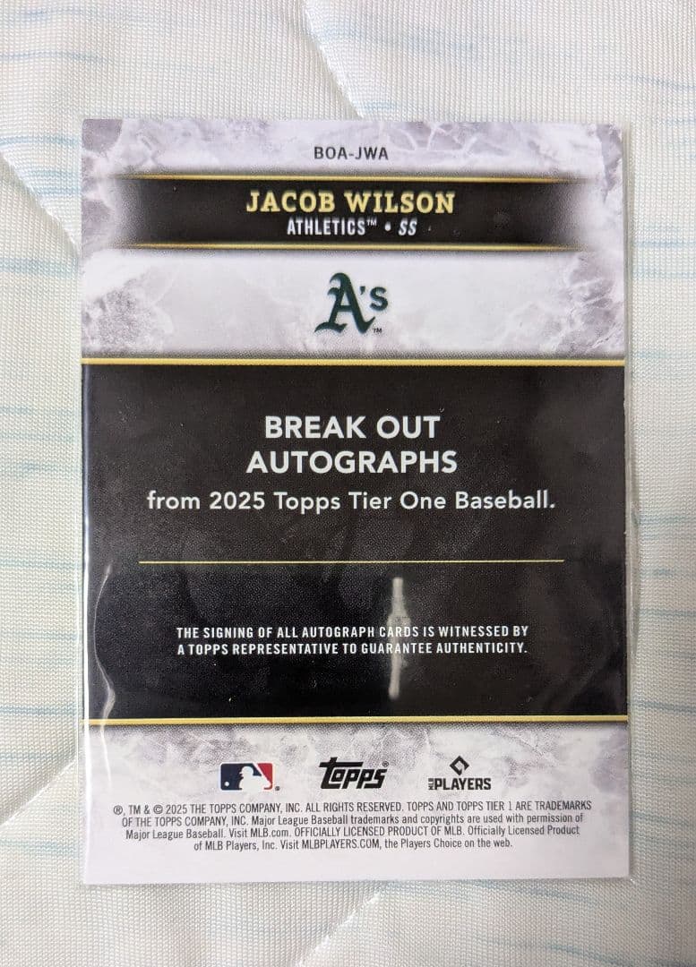 v*v様 JACOB WILSON AUTOGRAPH