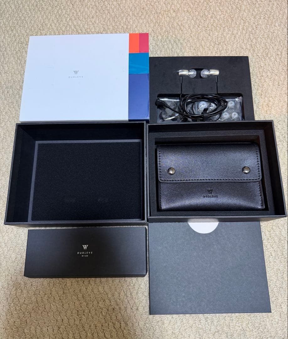 イヤホン radius HP-W100