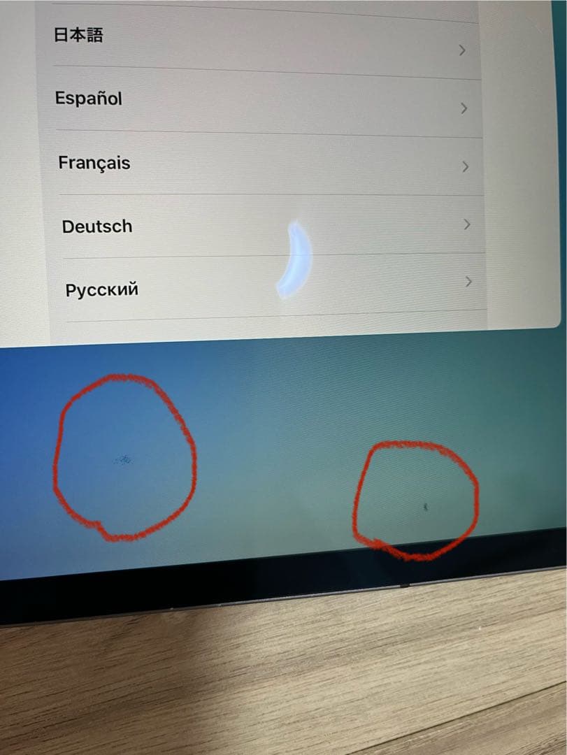 iPad Pro /11インチ/第1世代（2018）/1TB /セルラー/ペン付