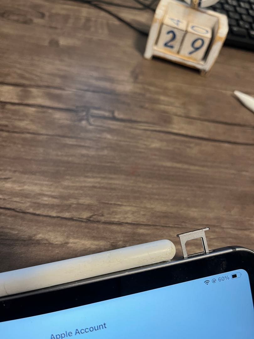 iPad Pro /11インチ/第1世代（2018）/1TB /セルラー/ペン付