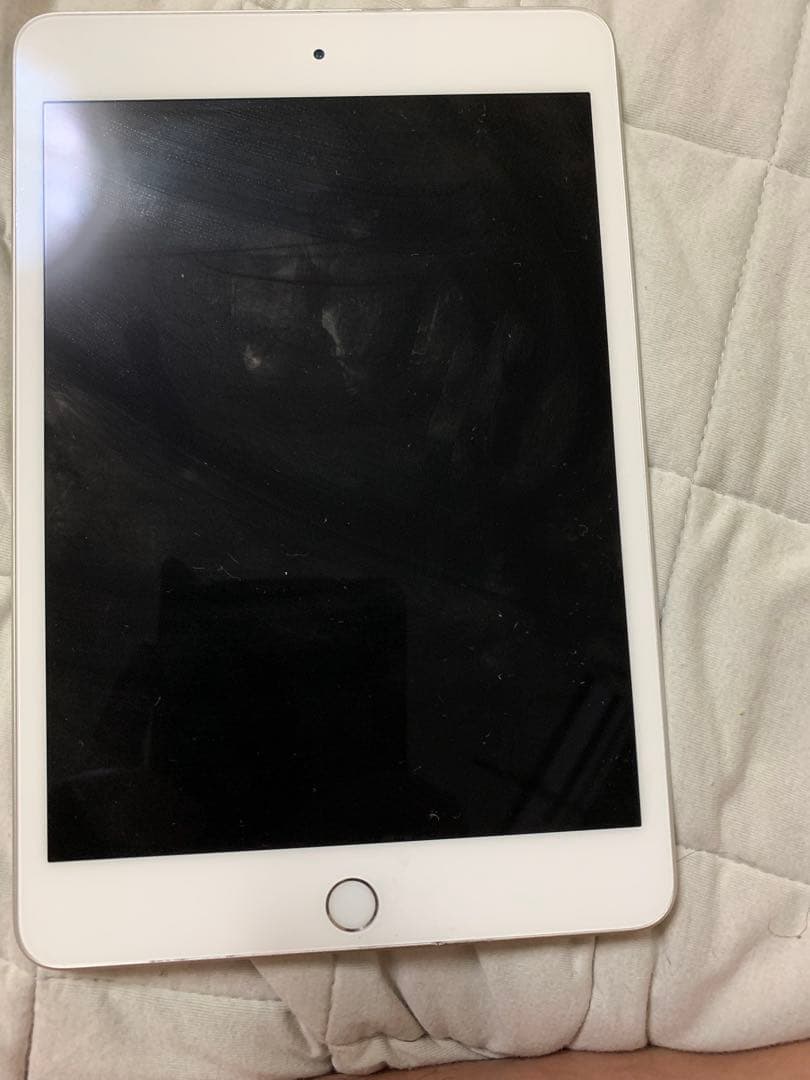 Apple iPad mini5 シルバー本体
