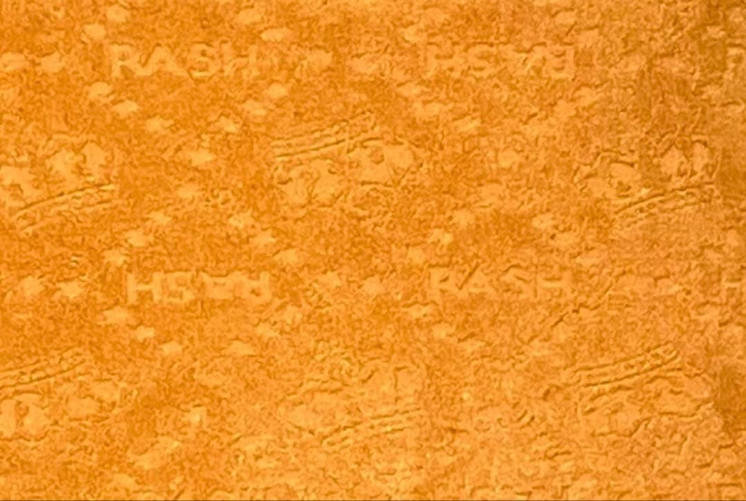 ✳️美品★RASH★5×3mmセミドライ★L〜XL位★高級裏起毛★信頼の国産品